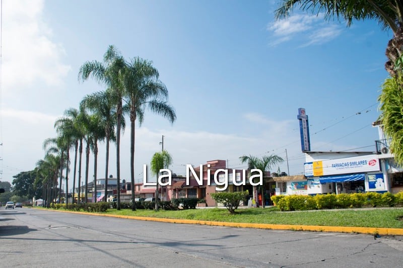 PET Contigo en tu Colonia registra avance del 80 por ciento