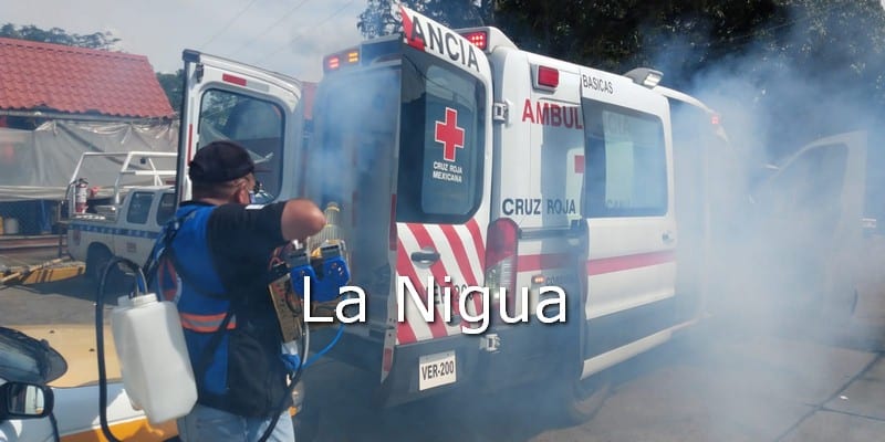 Ayuntamiento de Córdoba sanitiza más de 100 unidades de taxi