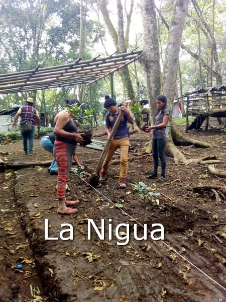 Miembros de la CIOAC no desalojarán terrenos ocupados en Sierra Alta
