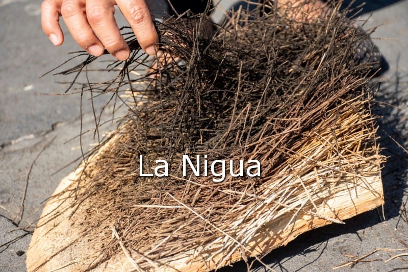 En Córdoba, retiran árboles del parque 21 de Mayo que representan riesgo para la población