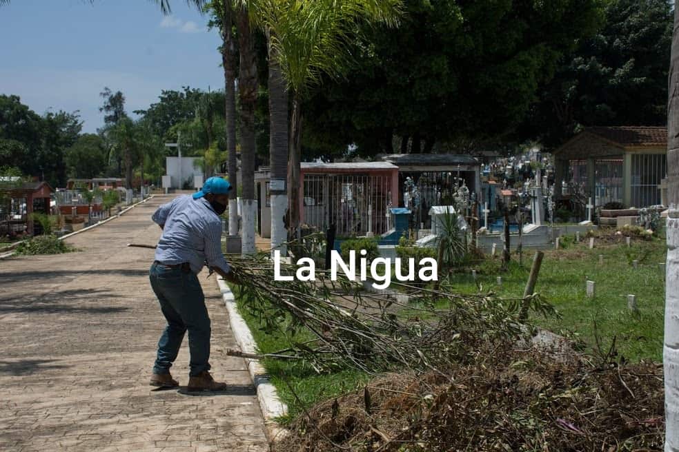 Más de dos mil tumbas abandonadas en cementerios municipales de Córdoba, analiza autoridad reasignar espacios.
