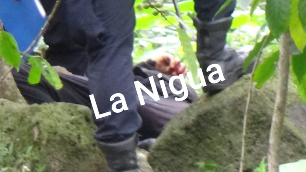 Encuentran degollado en la colonia 7 de Noviembre de Xalap