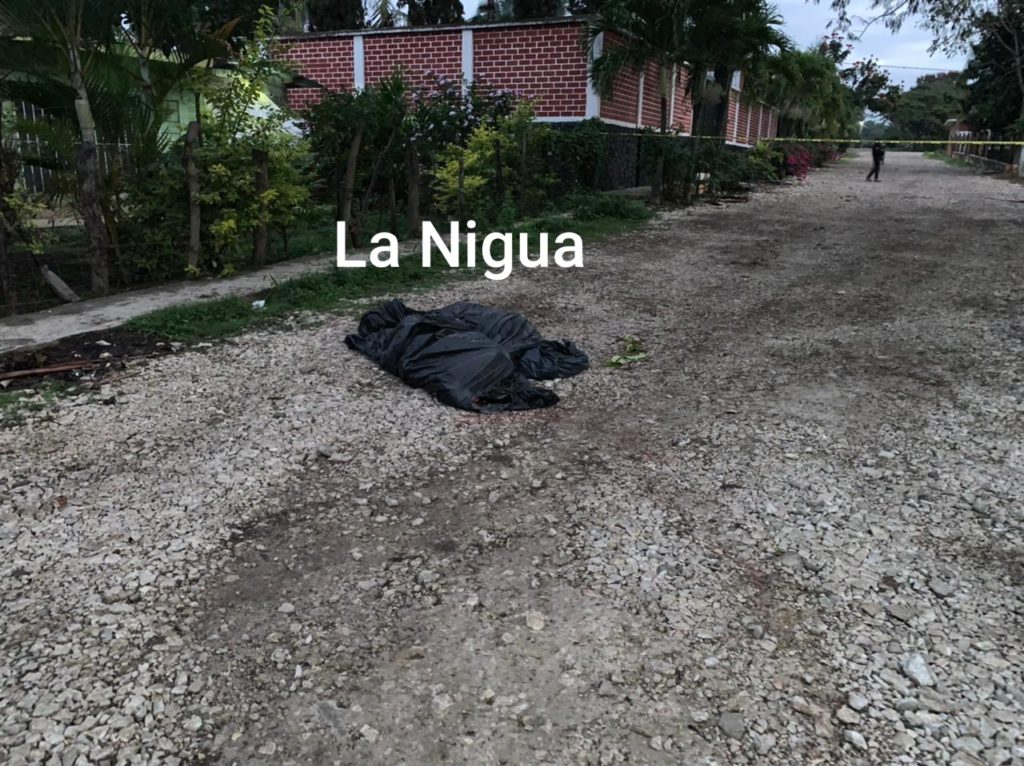 Descuartizados y embolsados