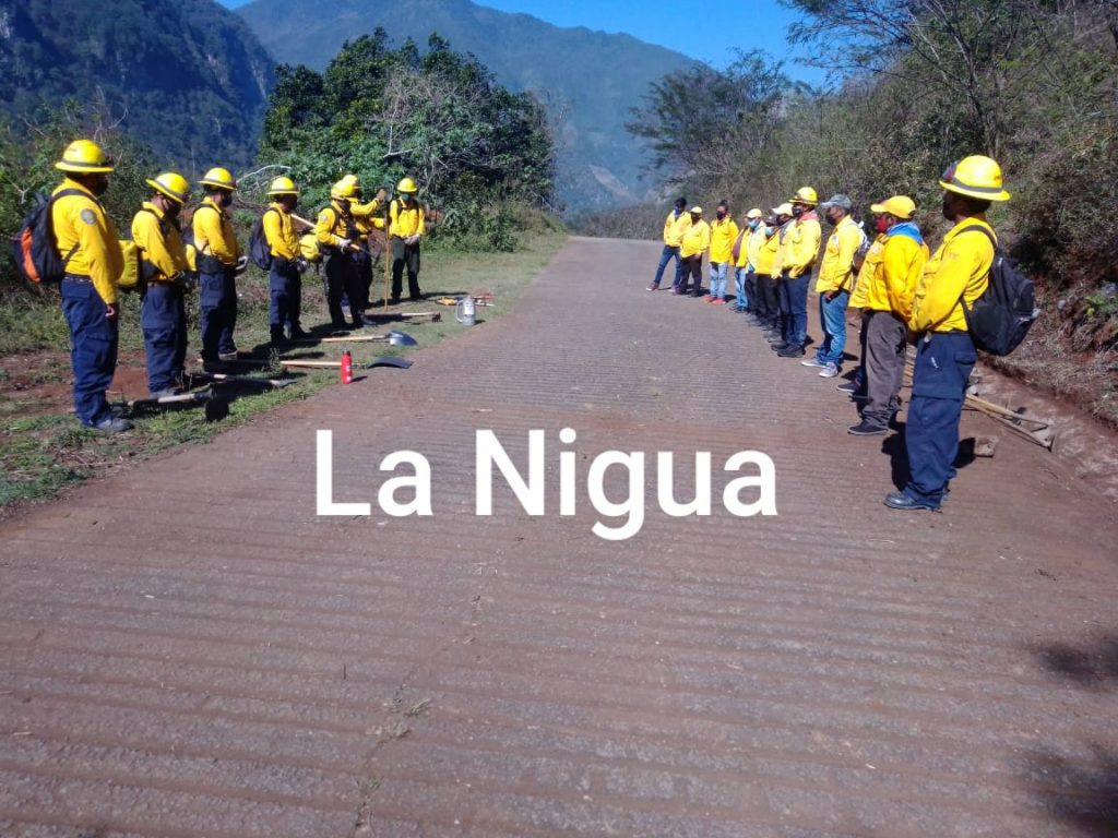 Capacita CONAFOR y SEDEMA a brigadistas.