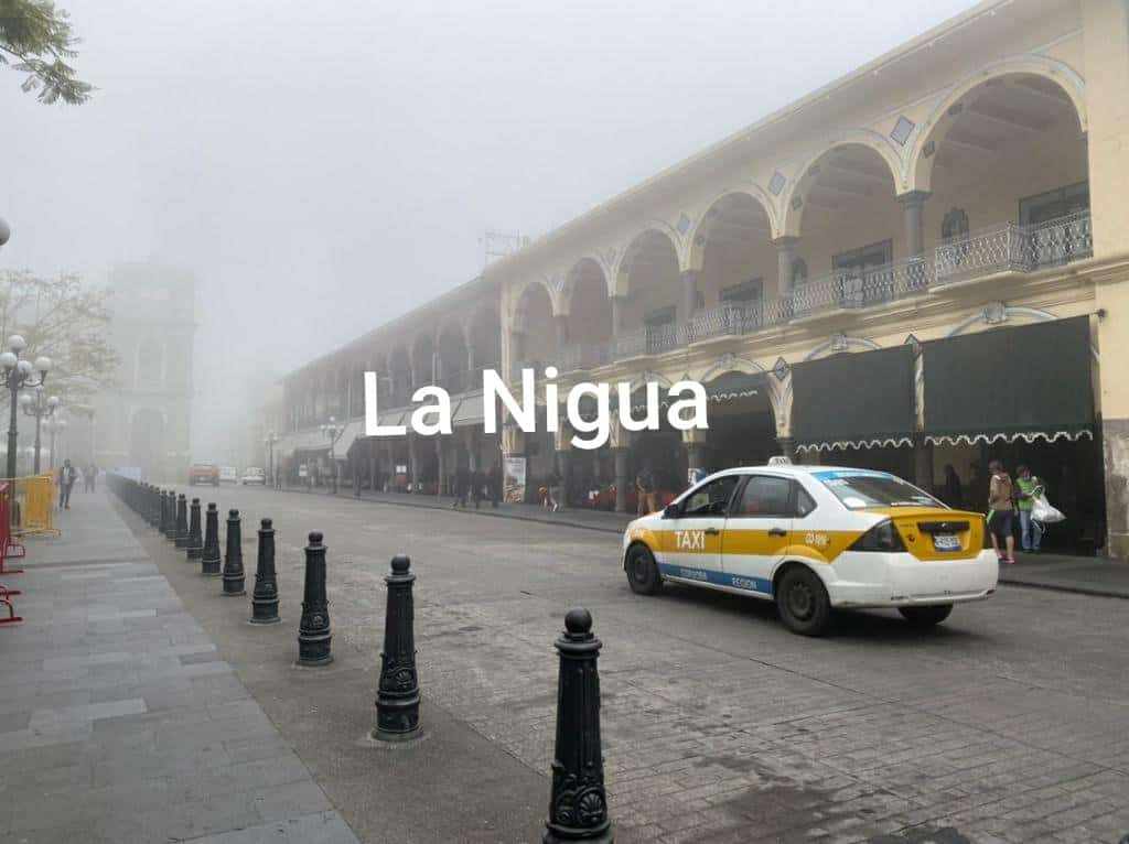 20210215 1439364229225990394362187