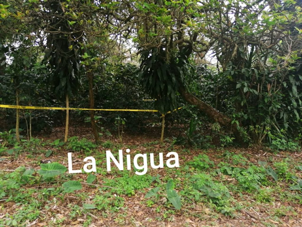Suspende fiscalía diligencia en fosas clandestinas de Campo Chico. 4 20210215 2336593757352243212891966