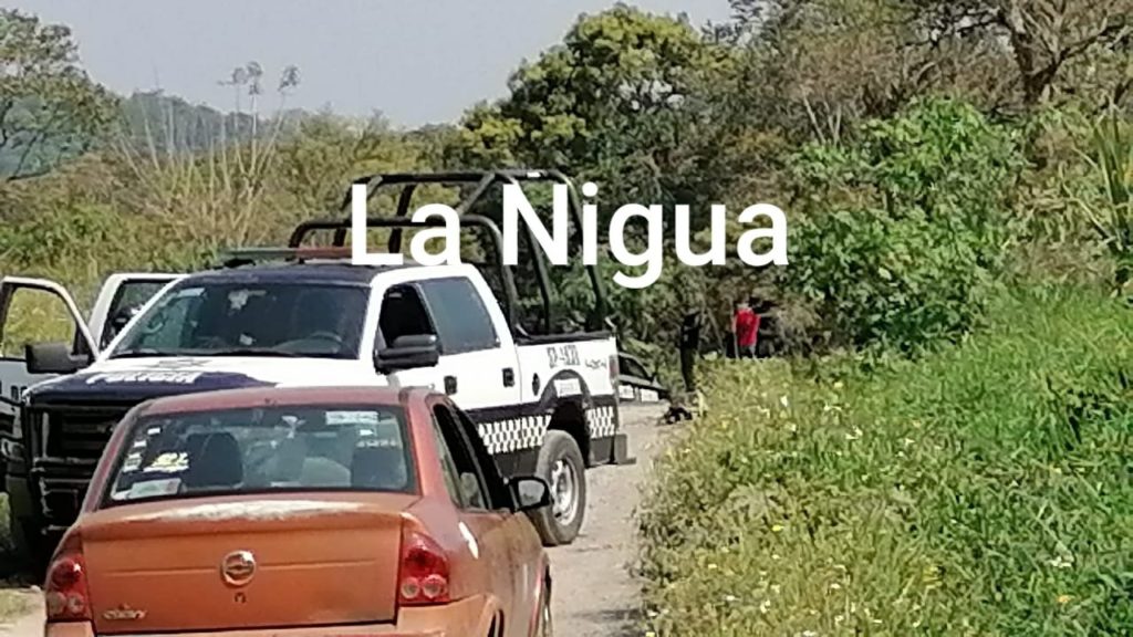 Escapa por la puerta falsa.