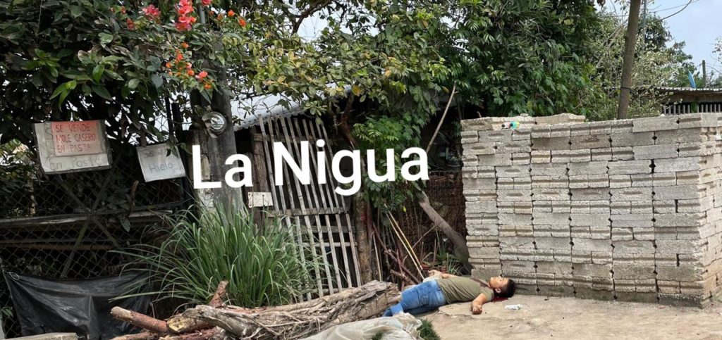 Ejecutaron a moto tortillero en Martínez de la Torre