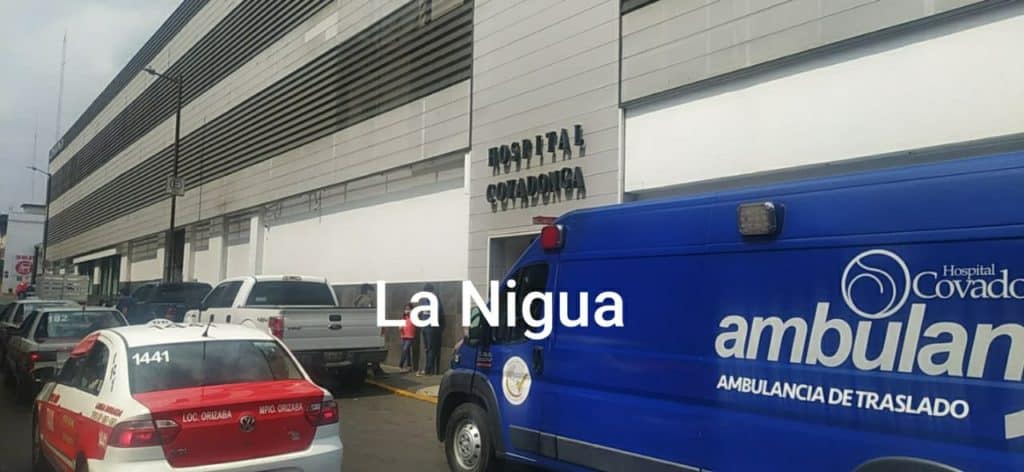 Sujetos armados acribillan a mujer en Astacinga. 1 20210331 1804035650839189794569212