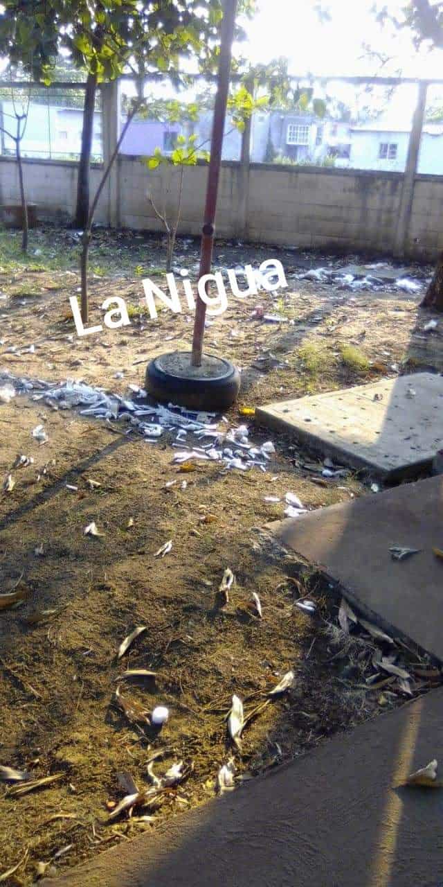 20210413 1555324339807507720363948