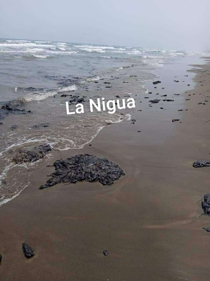 20210415 1536533985668145959769291