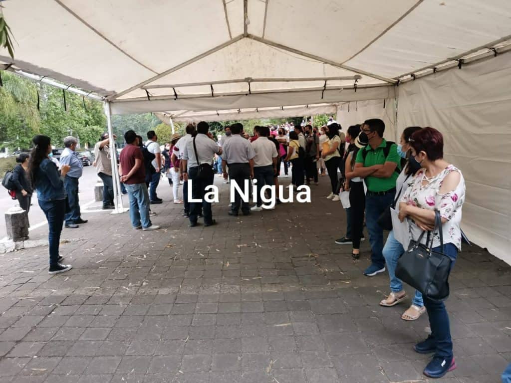 ¿Y dónde está Zenyanzen?