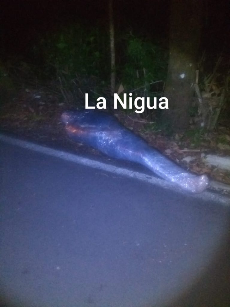 Lo ejecutan y lo envuelven en plástico