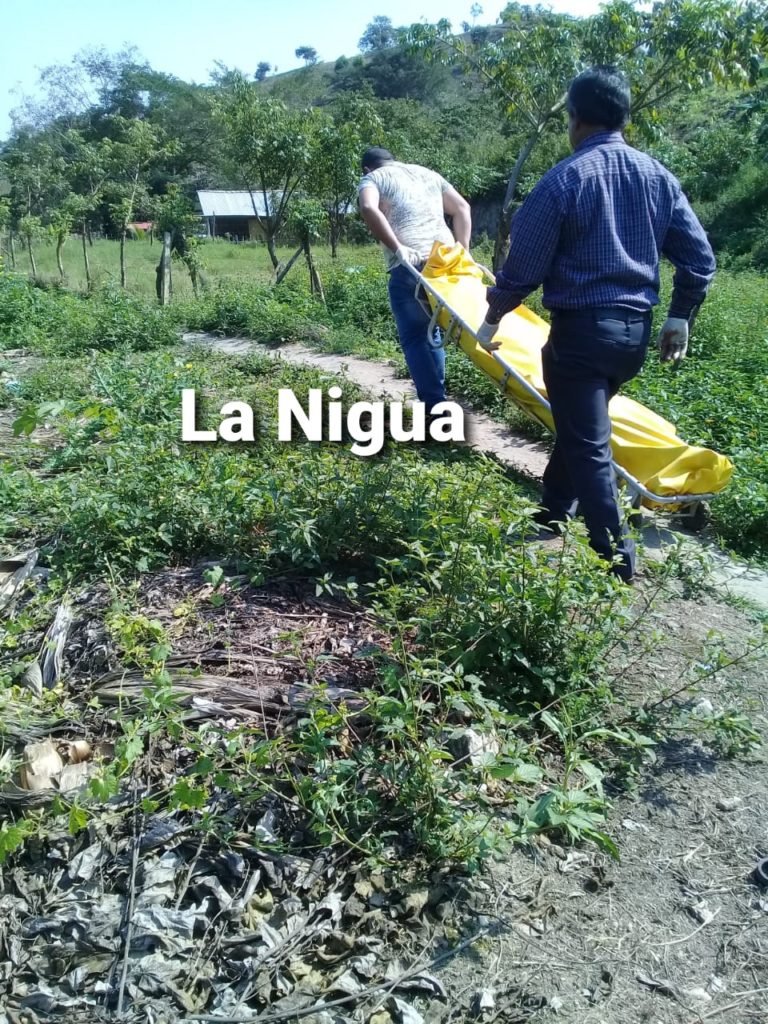 Macabro hallazgo en Tlapacoyan