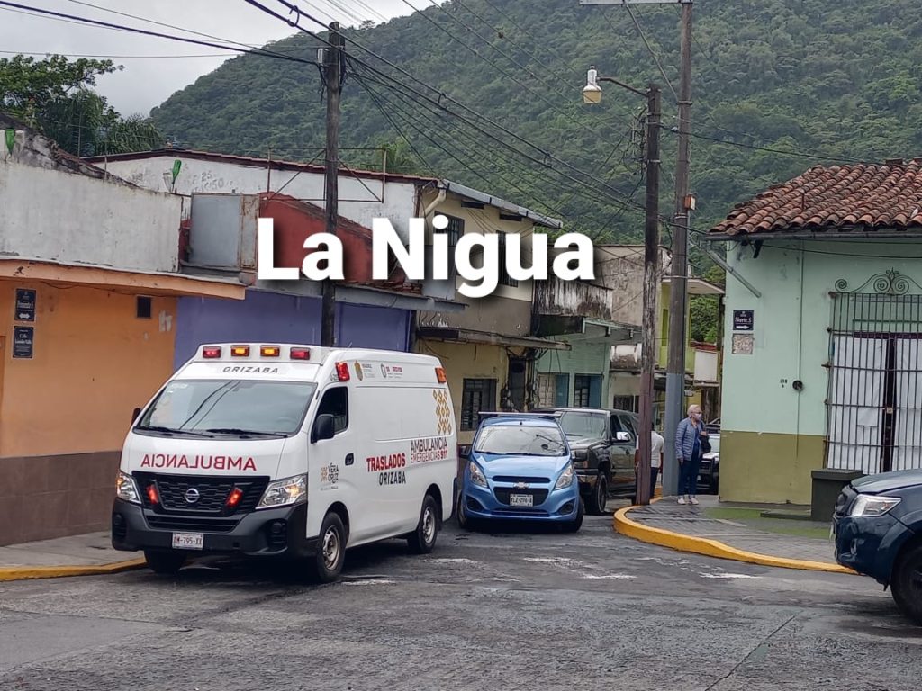 Lo encuentran putrefacto.