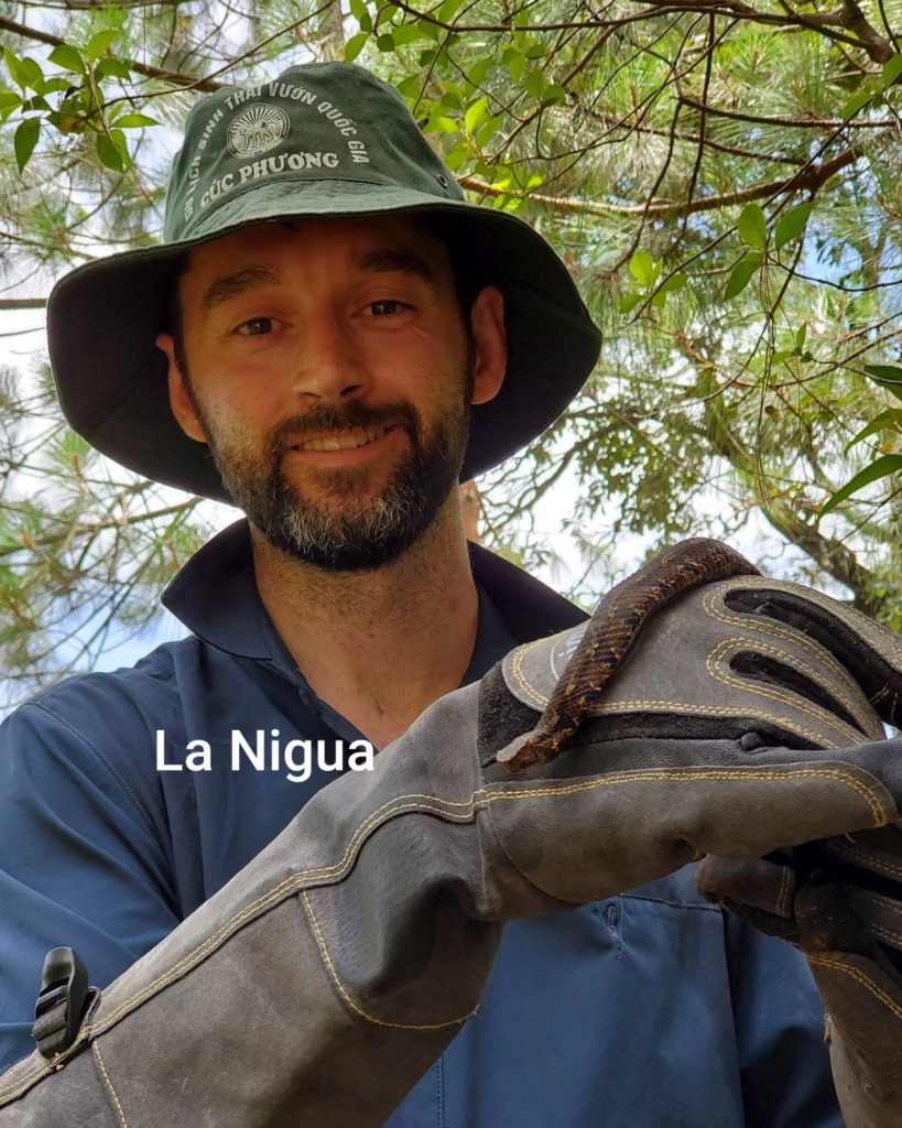LA SIERRA DE ZONGOLICA CONVERTIDA EN DESTINO TURISTICO DE INVESTIGACION DE ESPECIALISTAS NACIONALES Y EXTRANJEROS EN REPTILES Y ANFIBIOS 2 20210621 111943