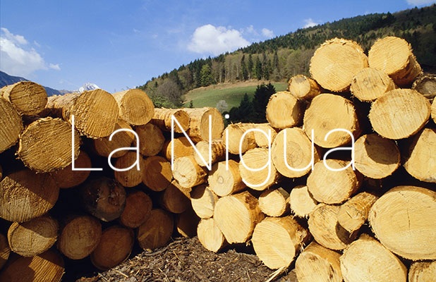 AMBIENTALISTAS EXIGEN DETENER EL ECOCIDIO EN LAS FALDAS DEL VOLCAN PICO DE ORIZABAEXIGEN DETENER EL ECOCIDIO EN LAS FALDAS DEL VOLCAN PICO DE ORIZABA