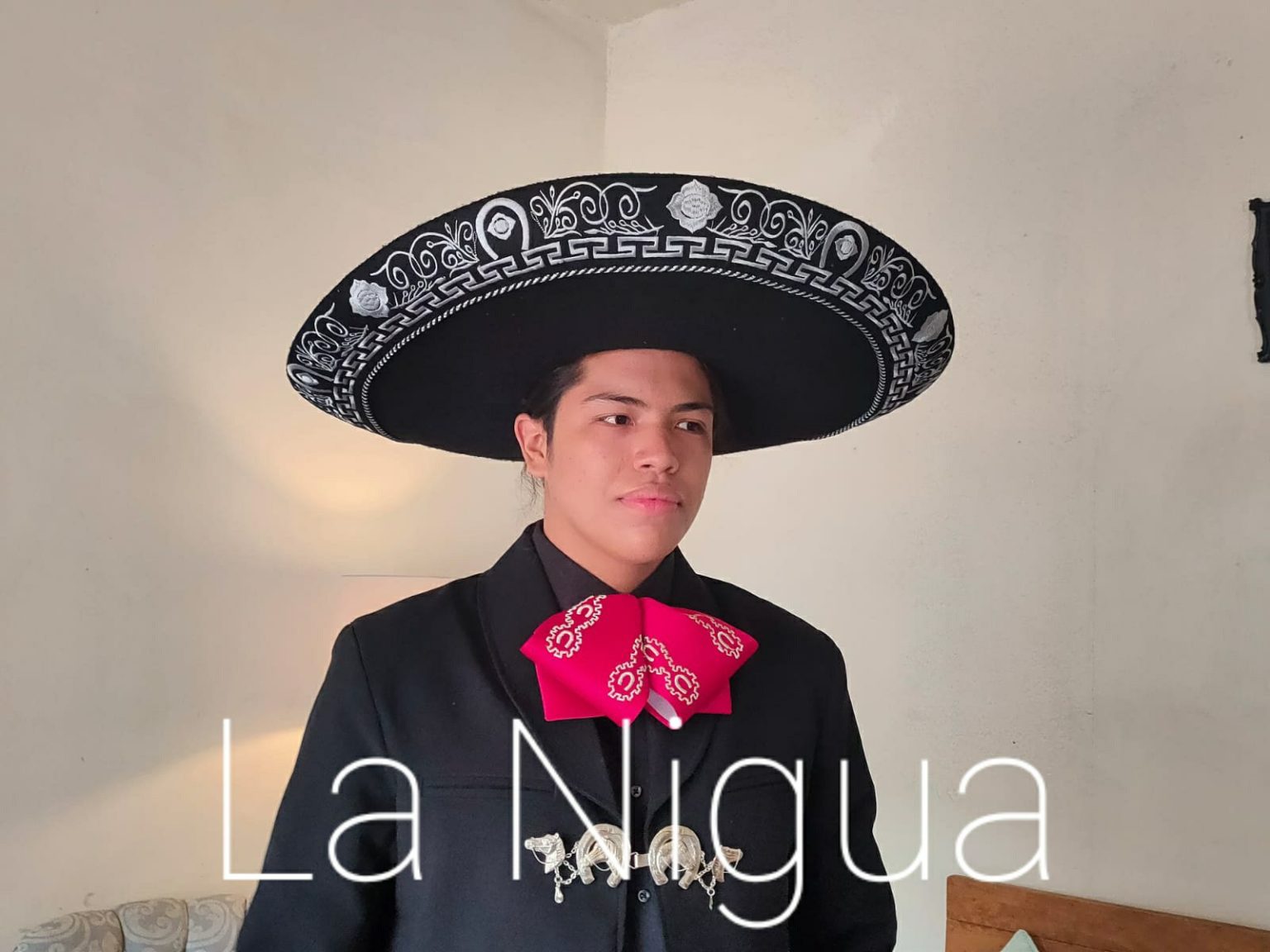 Incursiona joven en la música regional mexicana.