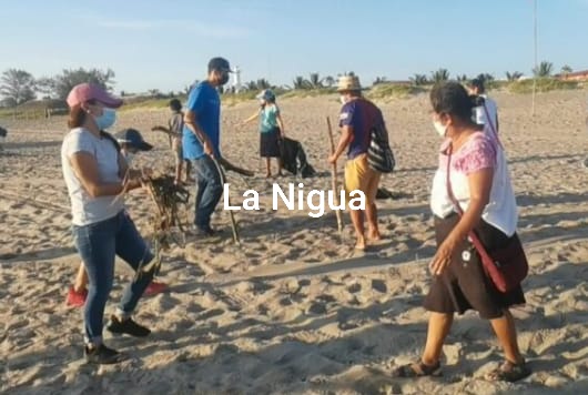 Realizan limpieza en playas; autoridades y prestadores de servicios en Tecolutla