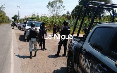 Localizan restos humanos en terreno escolar en Papantla