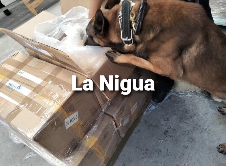 MARINA, Guardia Nacional y Aduanas decomisan 204 kilogramos de fentanilo en la Aduana del AICM procedente de Hong-Kong 1 20210808 104548