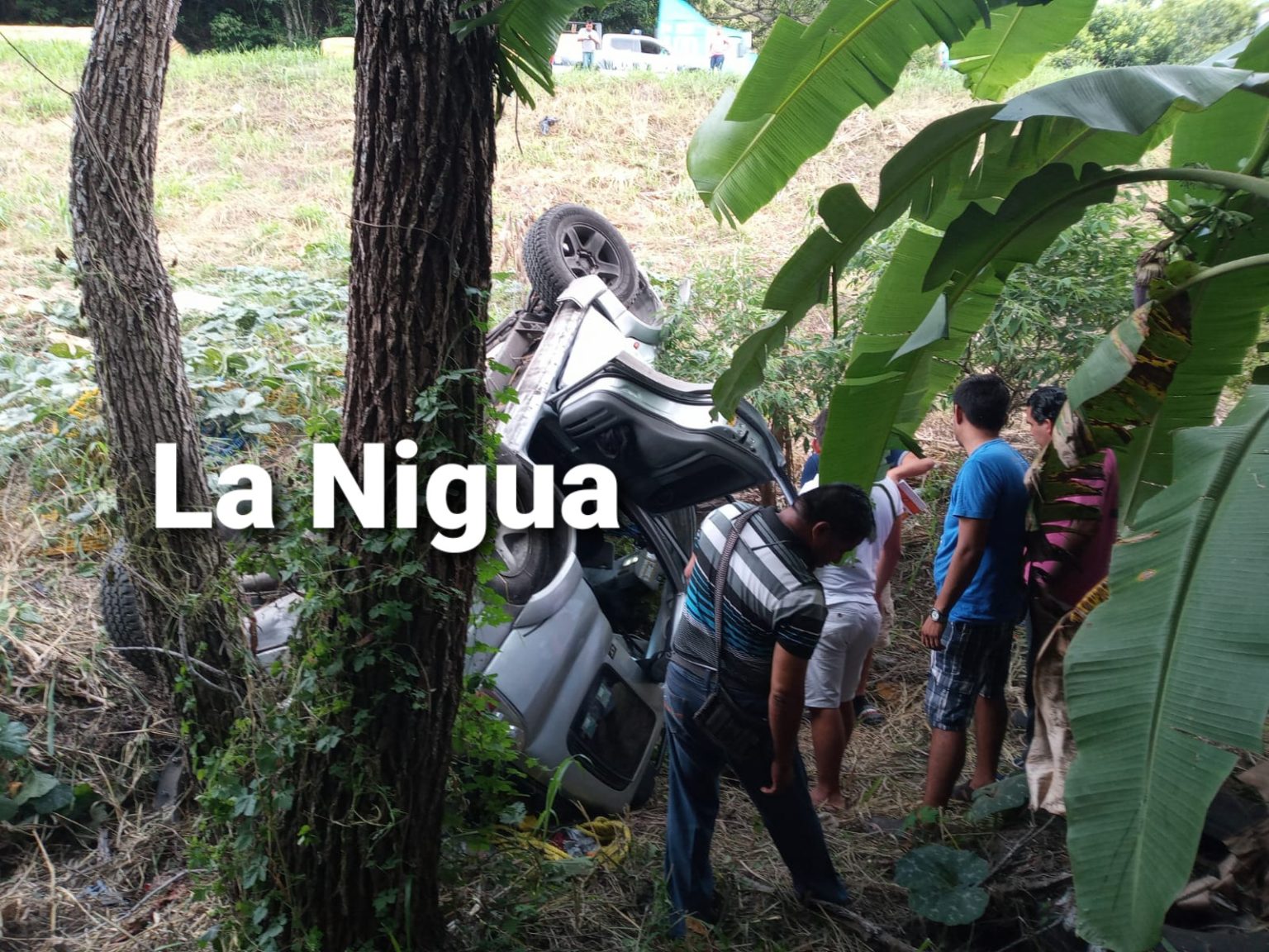 A punto de morir, un profesor tras volcarse y caer a un barranco en Gutiérrez Zamora