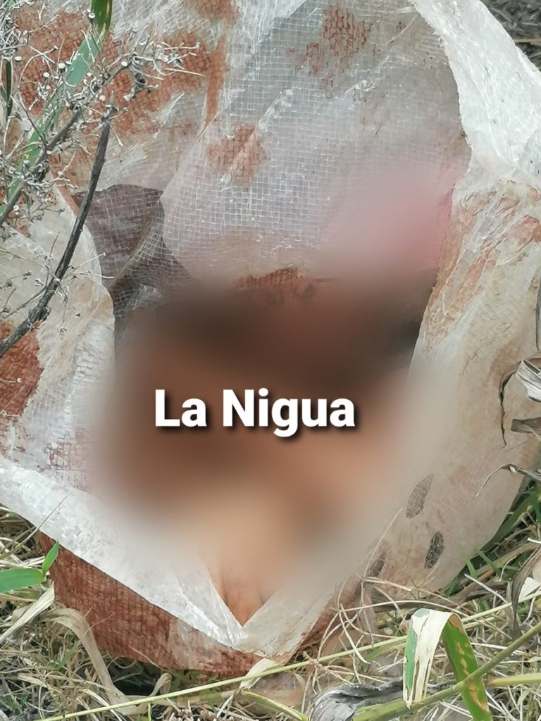 En Omealca localizan restos humanos en costales.