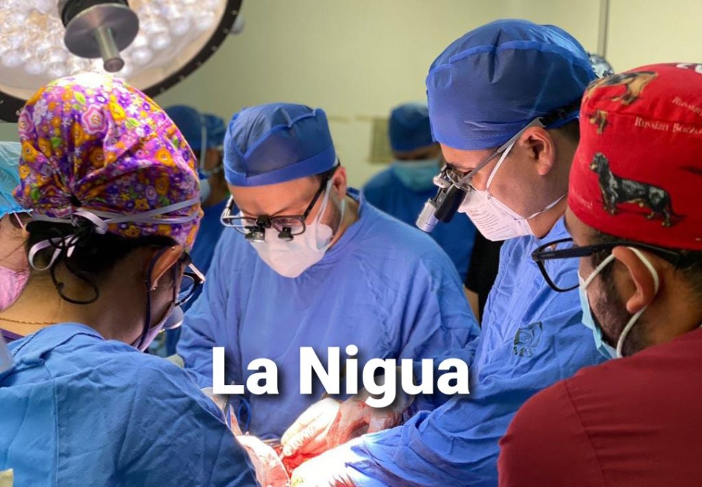 Realiza HTO IMSS Puebla segunda donación multiorgánica de órganos y tejidos de esta semana