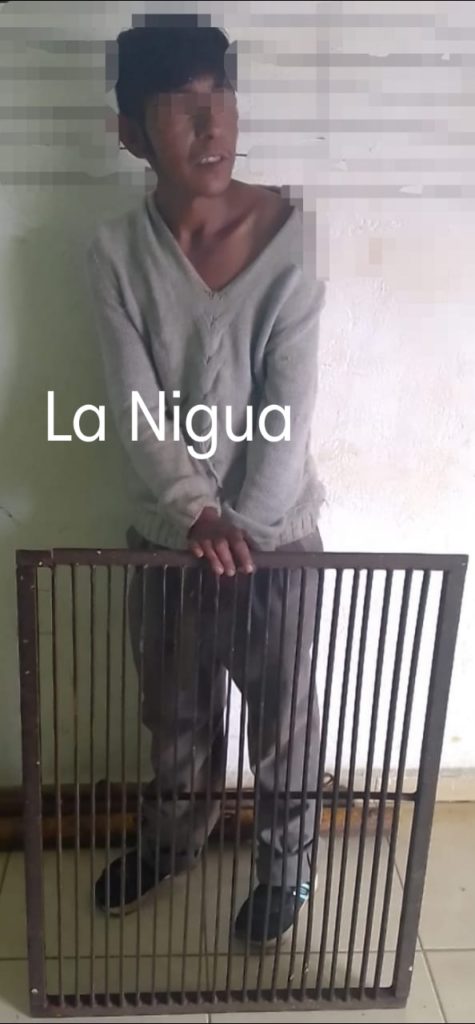 Detiene a “Fichita”, señalado por cometer robos en Ixhuatlán del Café.