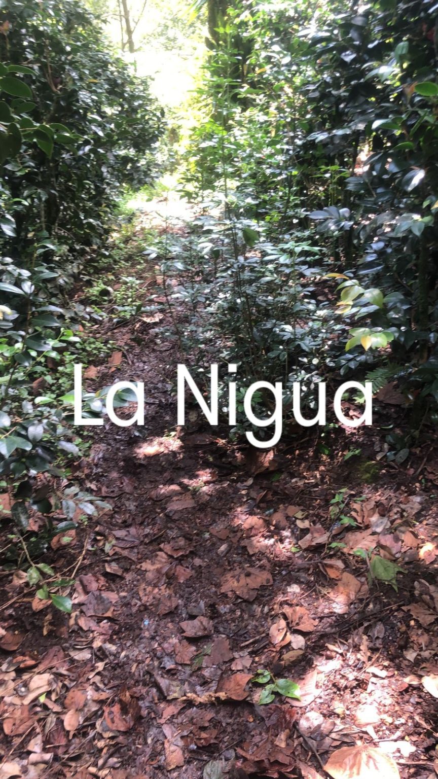 Localizan fosa clandestina en Mariano Escobedo.