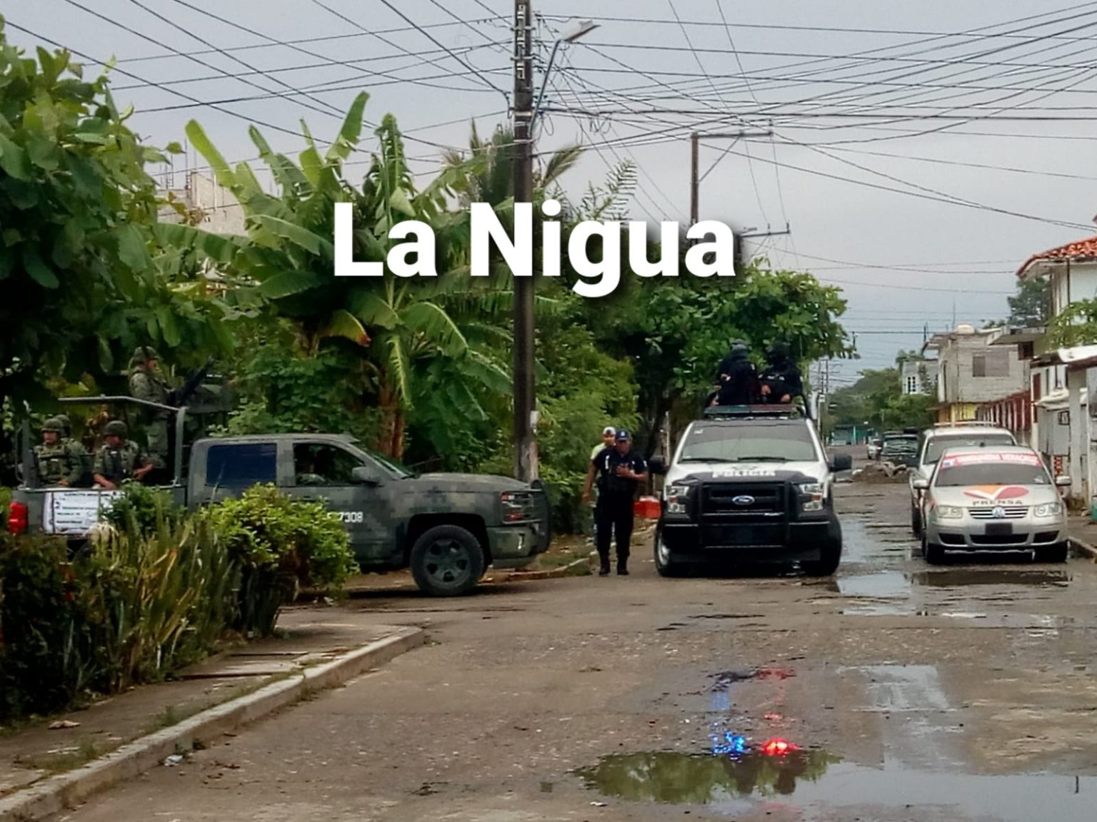 Dan fuerte golpe a la delincuencia SSP y PME en Tecolutla