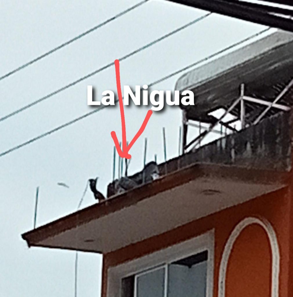 Muere hombre electrocutado, mientras surtía un tanque estacionario en Coscomatepec.