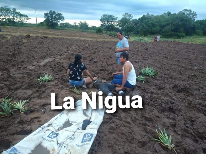 LES ALCANZA UN RAYO A DOS CAMPESINOS QUE REGABAN PLANTA DE PIÑA 1 20210918 153906
