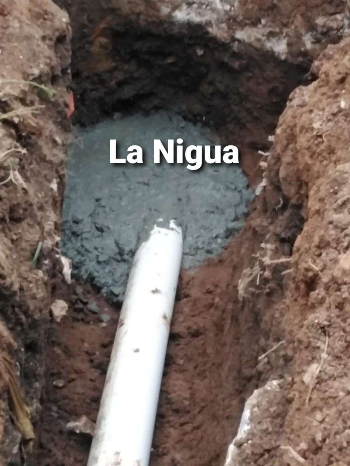 Lleva un 80 por ciento de avance drenaje sanitario de Buenavista