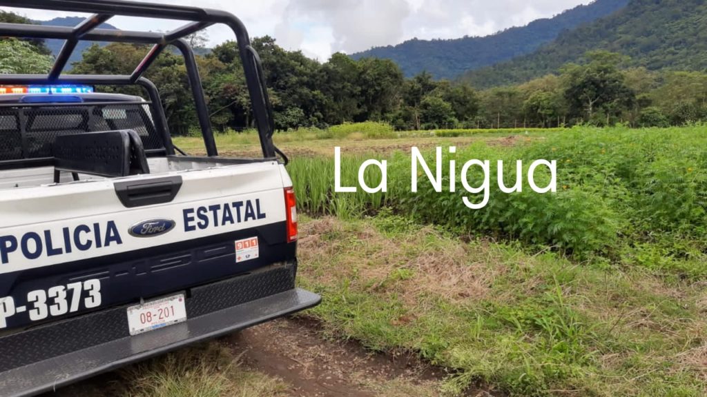 Lo encuentran en avanzado estado de putrefacción