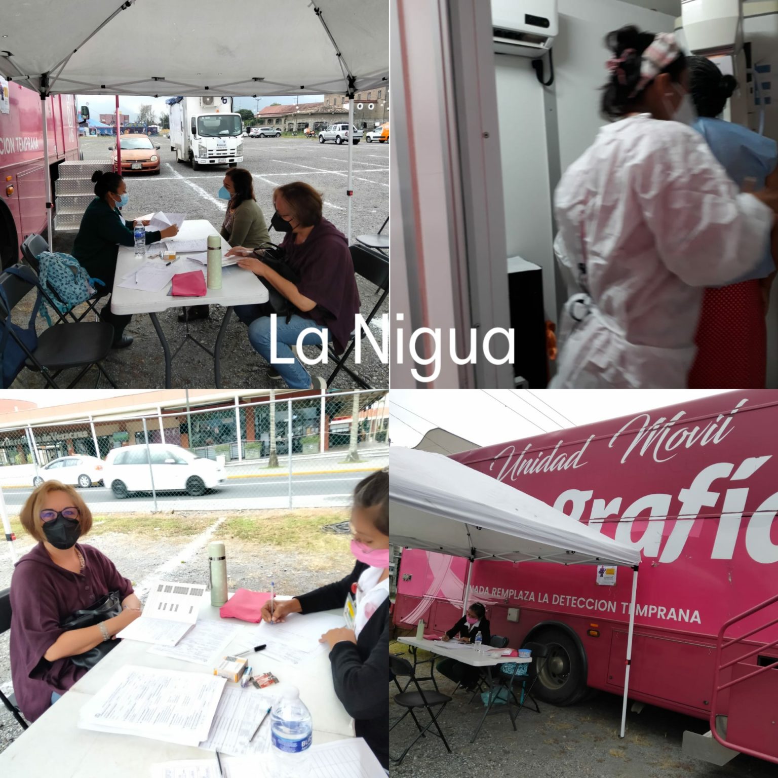 Invita IMSS Veracruz Sur a prevenir el cáncer de mama, piedra angular de la medicina