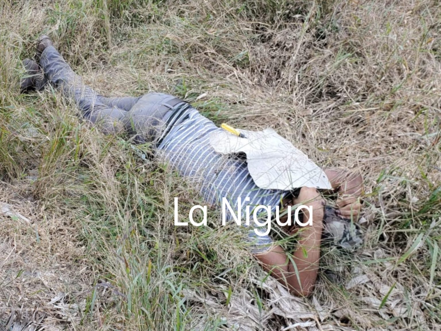 Fuera de control, las ejecuciones en Álamo