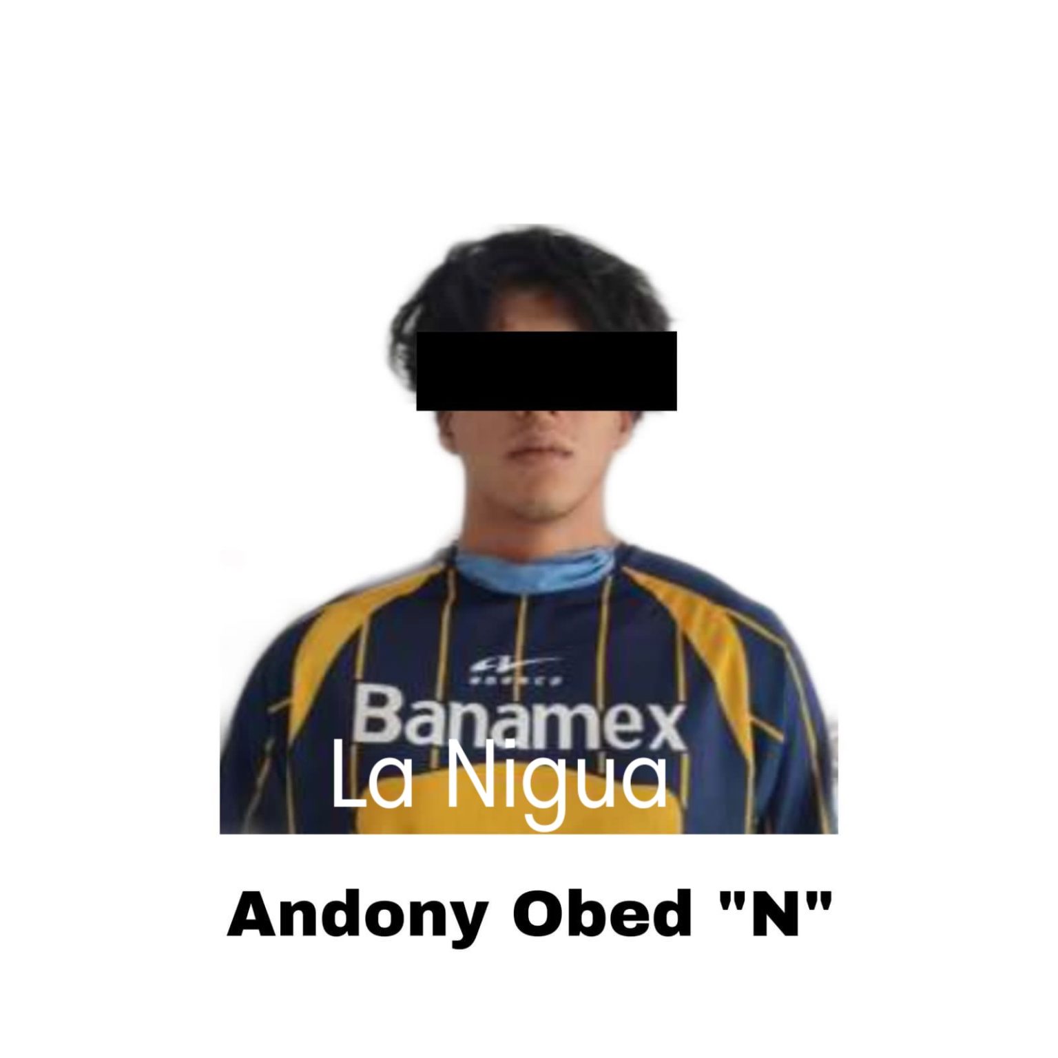 Detiene SSP a presunto narcomenudista en Camerino Z. Mendoza