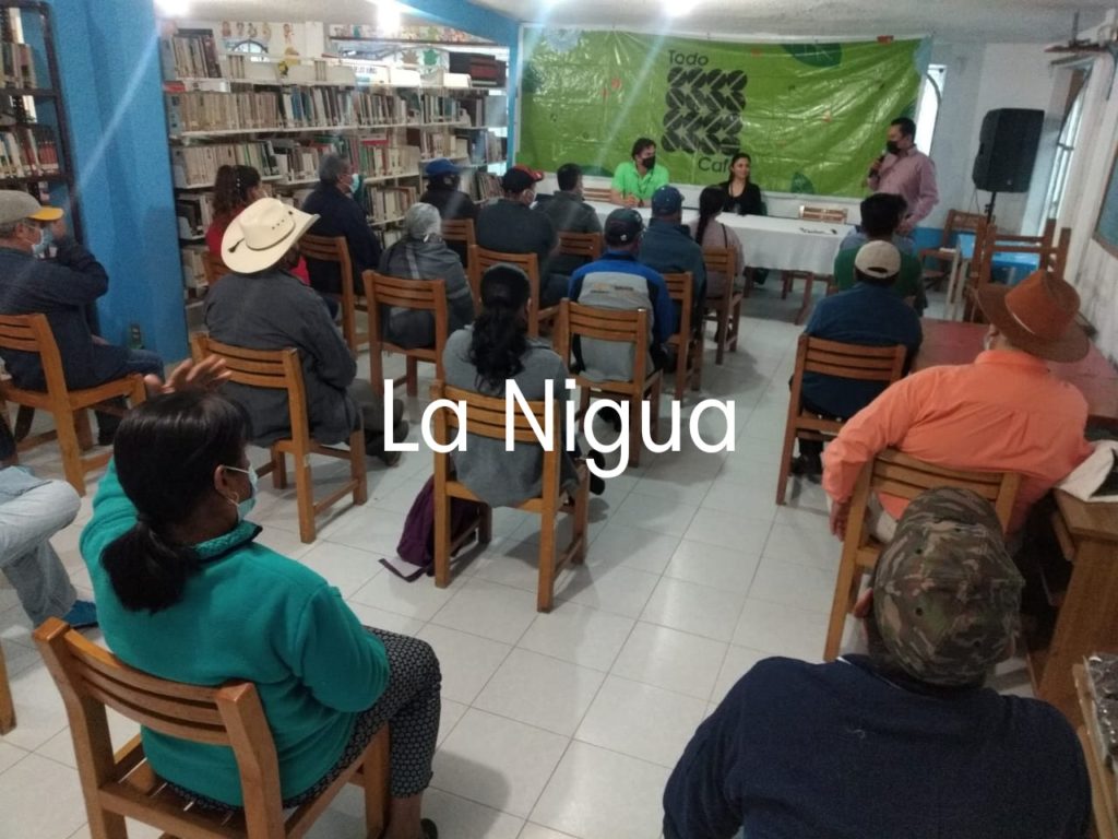 CAFICULTORES DE ‘TODO CAFÉ’ SE PERFILAN COMO CAFÉS EXTRAORDINARIOS