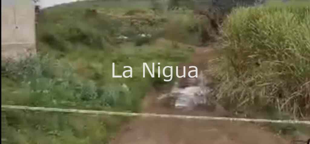 Ejecutan a pareja en la localidad El Castillo de Xalapa