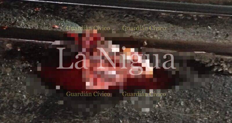 Muere migrante en Coatzacoalcos, lo despedaza “la bestia”