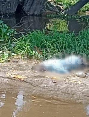 Aparece cuerpo flotando en el arroyo El Control de Las Choapas 20240716 143903
