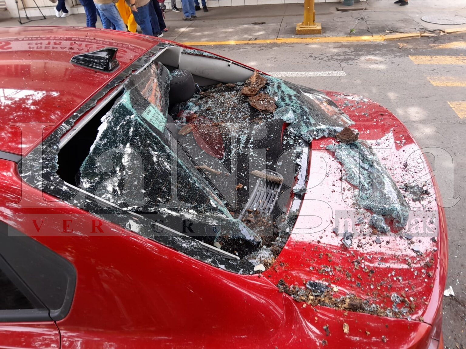 Dos lesionados al caerles rama encima