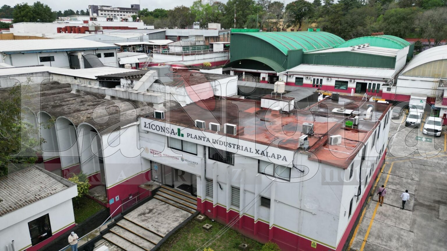 SE IMPULSARÁ A PRODUCTORES DE LECHE: ROCÍO NAHLE