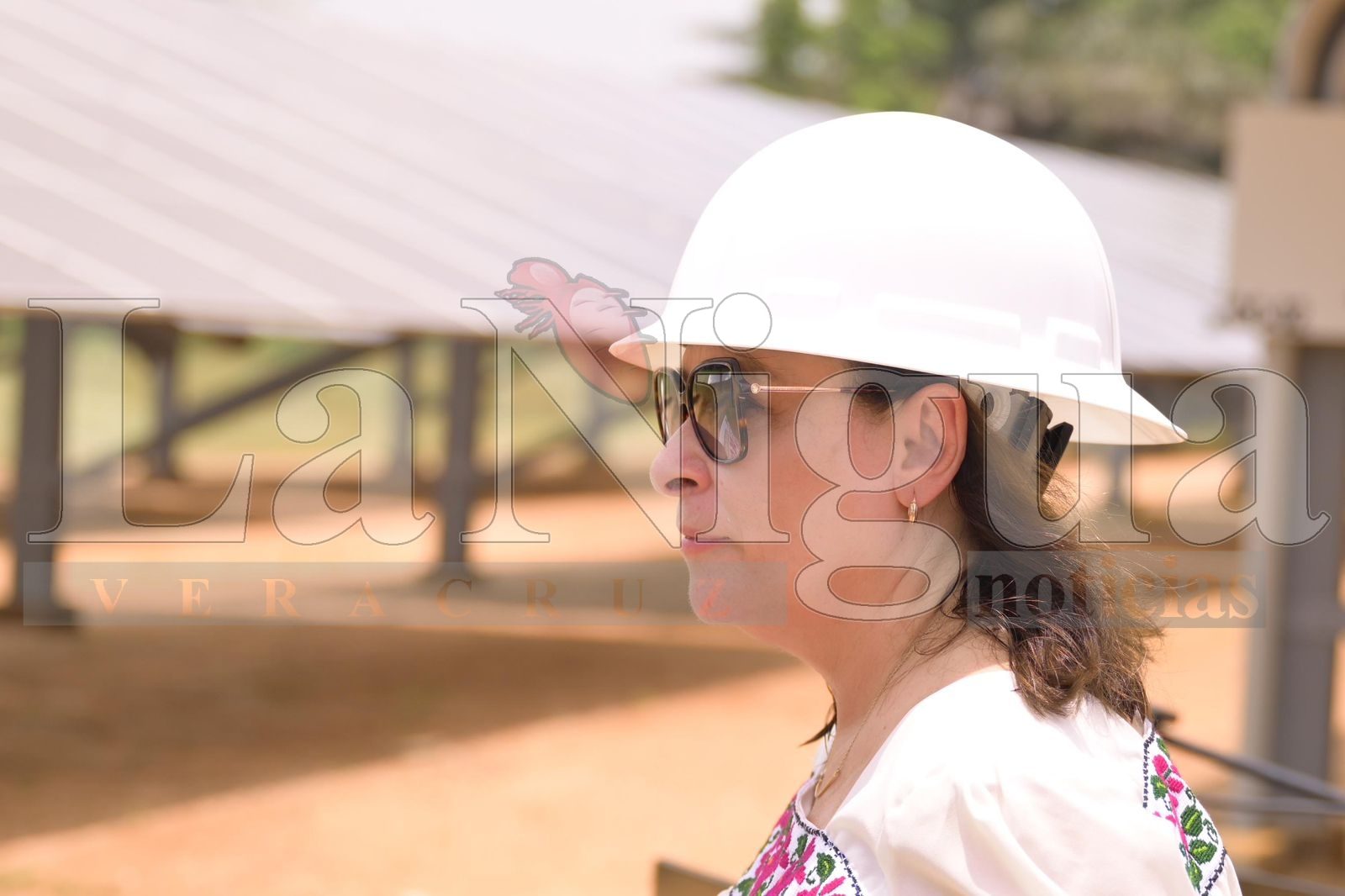 INAUGURA ROCÍO NAHLE PRIMER PARQUE FOTOVOLTAICO EN EL SUR DE VERACRUZ 2 IMG 20240720 WA0085