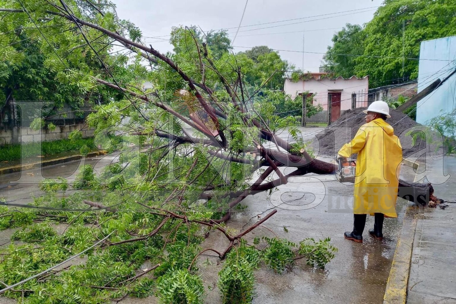 Realizan labores de mantenimiento para prevenir accidentes en Soledad de Doblado