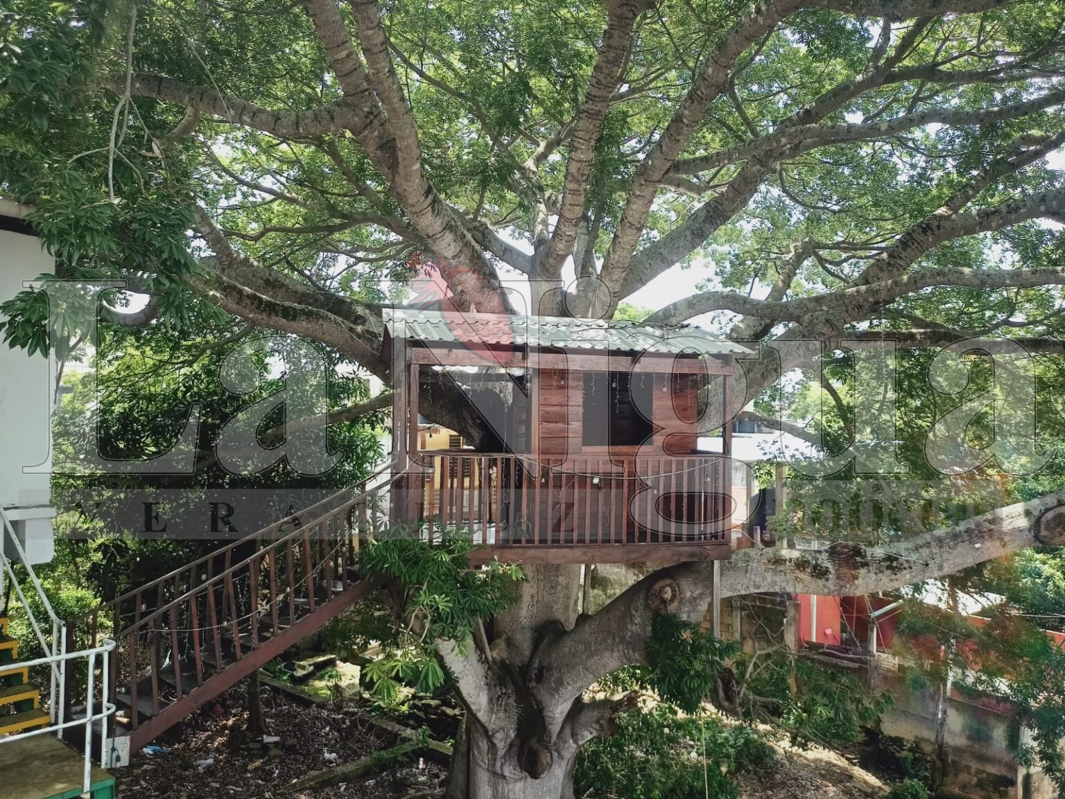 La casita del árbol en Las Choapas