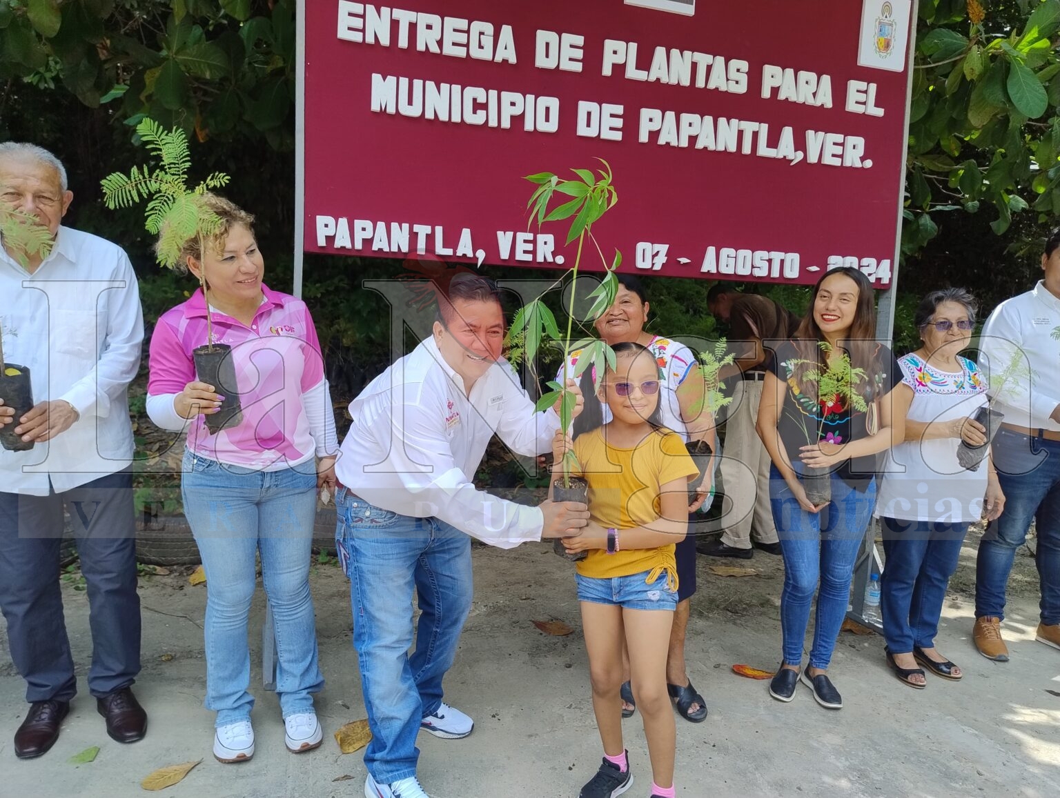 Entregan más de 10,000 árboles para reforestación en Papantla