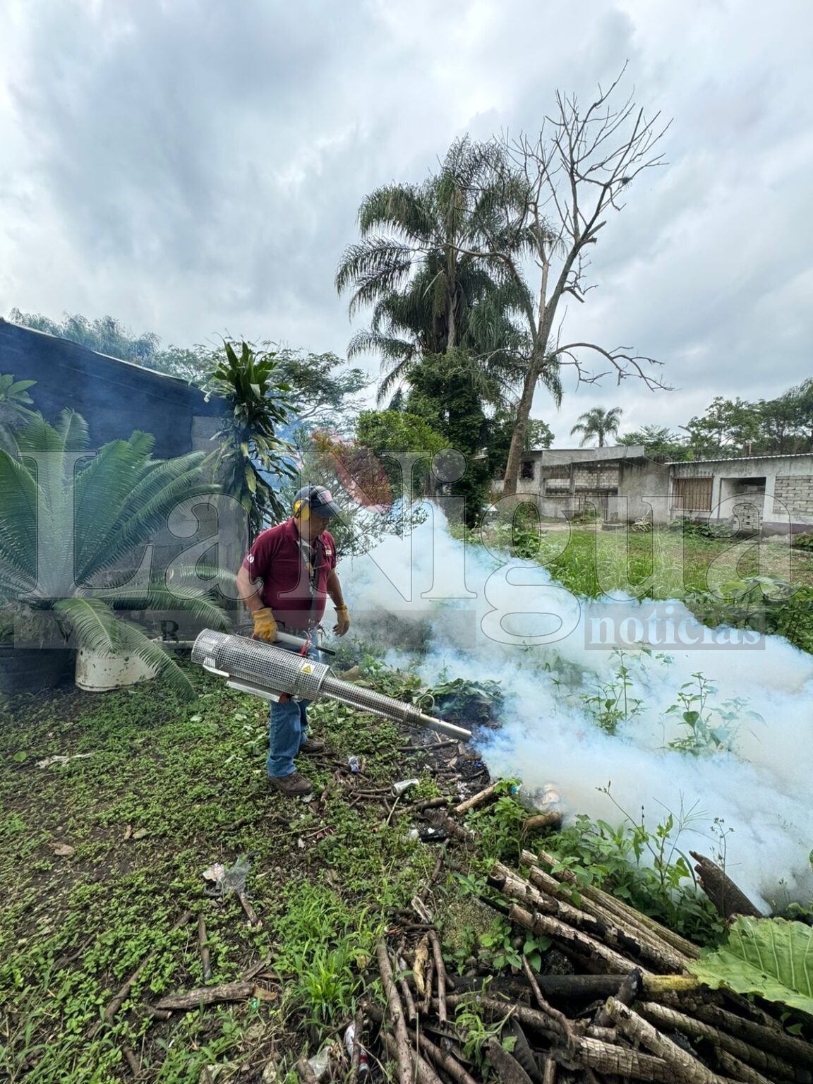 Cumple Vectores municipal con fumigación en escuelas