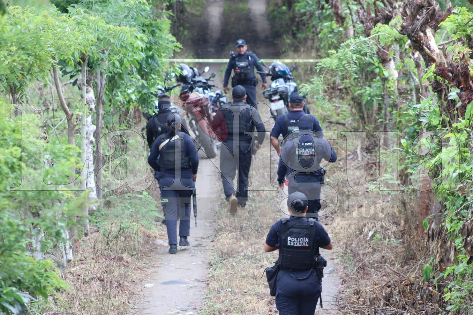 Encuentran a persona sin vida en Martínez de la Torre IMG 20240929 WA0058